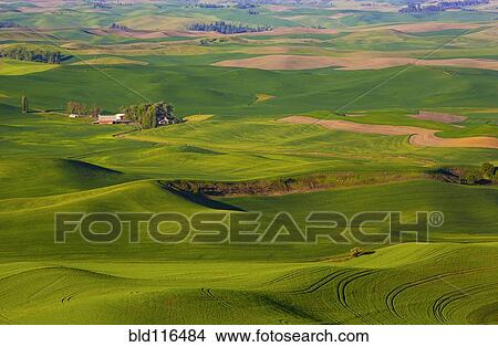 Steptoe Butte stands tall above the Palouse in Washington State View Large Photo Image Picture - Steptoe Butte stands tall above the Palouse in Washington State. Fotosearch