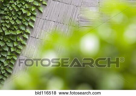Stock Photo - Stone Pavement and Greenery. Fotosearch