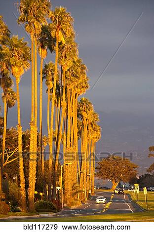 Stock Photo - Street at Sunset with Palm Trees. Fotosearch