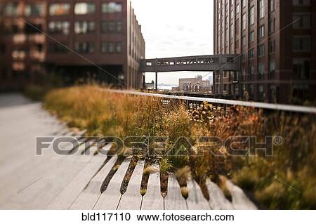 The High Line Park View Large Photo Image Stock Image - The High Line Park. Fotosearch