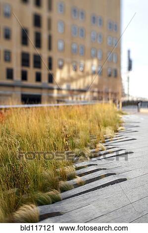 The High Line Park View Large Photo Image Stock Image - The High Line Park. Fotosearch