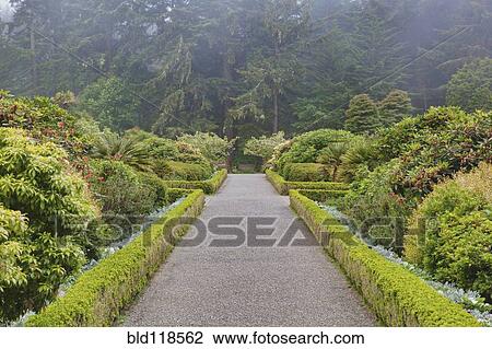 The Shore Acres State Park botanical gardens View Large Photo Image Stock Image - The Shore Acres State Park botanical gardens. Fotosearch