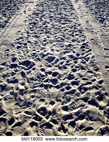 Stock Image - Tire Tracks and Footprints in the Sand. Fotosearch