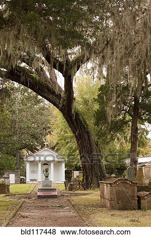Tolomato Cemetery in St. Augustine View Large Photo Image Stock Photo - Tolomato Cemetery in St. Augustine. Fotosearch