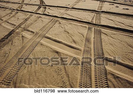Stock Photo - Tracks in. Sand. Fotosearch