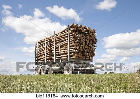 Trailer Full of Timber View Large Photo Image Picture - Trailer Full of Timber. Fotosearch