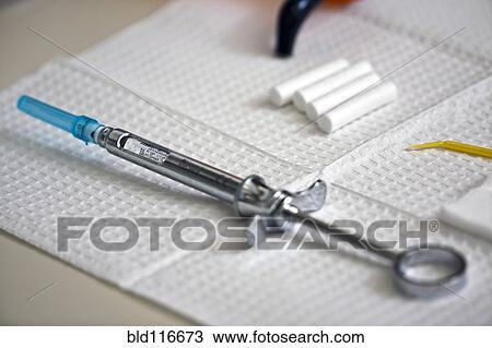 Tray of Dental Instruments View Large Photo Image Stock Image - Tray of Dental Instruments. Fotosearch