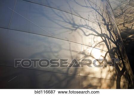 Tree Branch Shadows Cast on a Modern Building View Large Photo Image Stock Photo - Tree Branch Shadows Cast on a Modern Building. Fotosearch