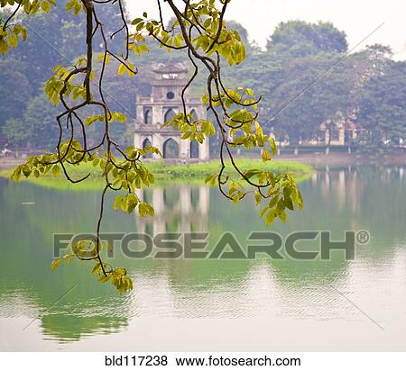 Stock Photo - Tree with View of Hoan Kiem Lake, Hanoi, Vietnam, Asia. Fotosearch