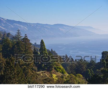 Stock Image - Treed Hillside Near the Ocean. Fotosearch