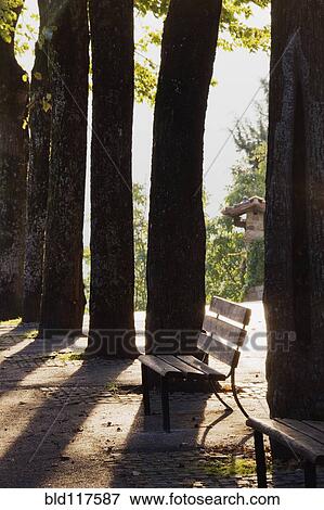 Trees and Bench View Large Photo Image Stock Photo - Trees and Bench. Fotosearch