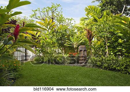 Tropical Yard View Large Photo Image Picture - Tropical Yard. Fotosearch