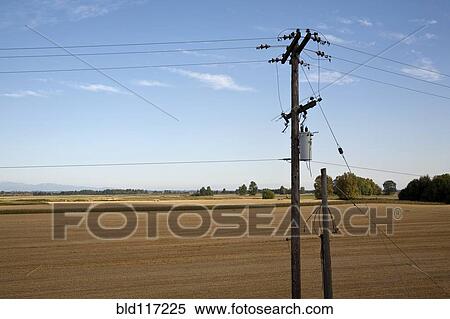 Utility Wires in Rural Area View Large Photo Image Stock Photography - Utility Wires in Rural Area. Fotosearch