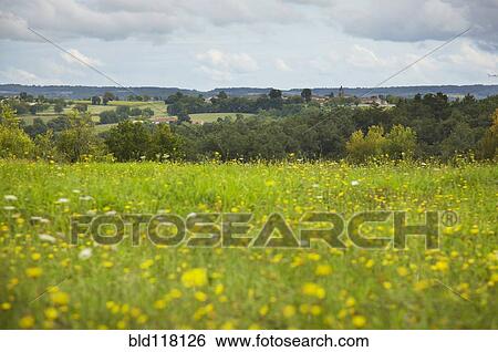 View of French Village from field of Wild Flowers View Large Photo Image Stock Photograph - View of French Village from field of Wild Flowers. Fotosearch