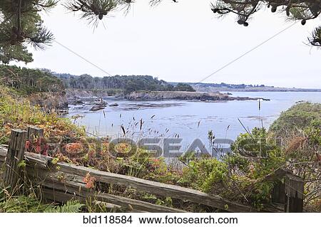 Viewpoint along the Mendocino Coast View Large Photo Image Picture - Viewpoint along the Mendocino Coast. Fotosearch