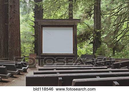 Stock Photograph - Walking trail through The Redwood National Park, in California. Fotosearch