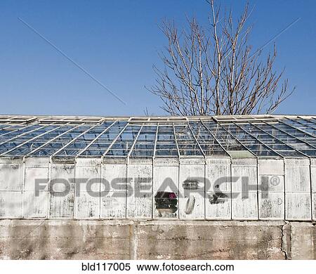 Stock Photography - Whitewashed Windows on a Greenhouse. Fotosearch