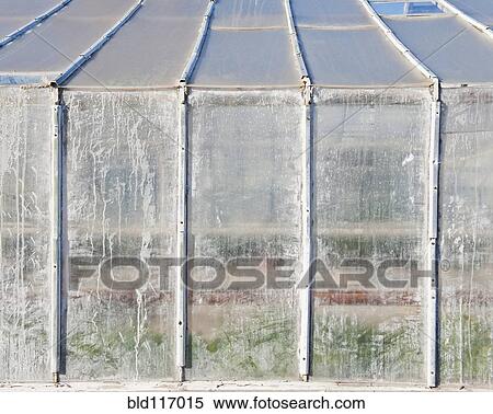 Stock Photography - Whitewashed Windows on a Greenhouse. Fotosearch