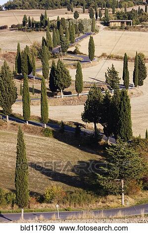 Stock Photo - Winding Road. Fotosearch
