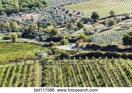 Stock Photograph - Winding Road. Fotosearch