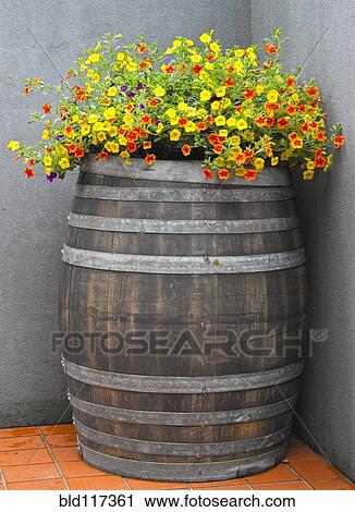Stock Image - Wine Barrel Planter. Fotosearch