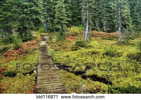 Stock Image - Wooden Foot Bridge Over Stream. Fotosearch
