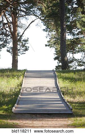 Stock Image - Wooden Footpath Through a Park. Fotosearch