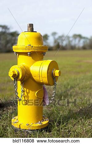 Stock Photo - Yellow Fire Hydrant. Fotosearch