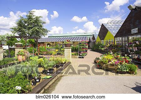 A garden center and plant nursery in Spalding View Large Photo Image Picture - A garden center and plant nursery in Spalding. Fotosearch
