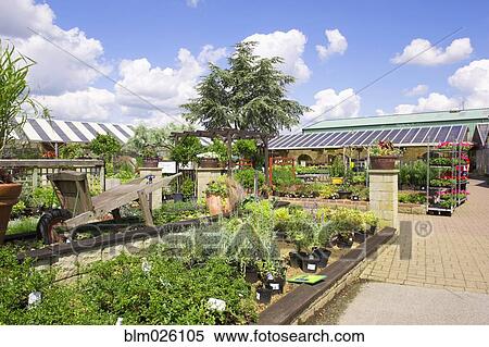A garden center and plant nursery in Spalding View Large Photo Image Stock Photography - A garden center and plant nursery in Spalding. Fotosearch