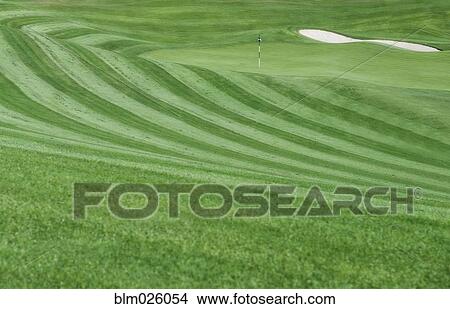 Picture - A golf course with mown fairways creating a pattern on an undulating landscape. Fotosearch