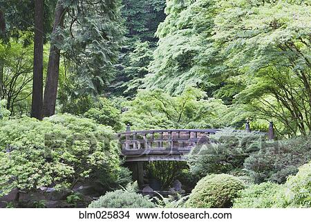 Picture - A Japanese Garden. Fotosearch