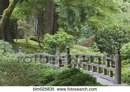 Stock Photography - A Japanese Garden. Fotosearch