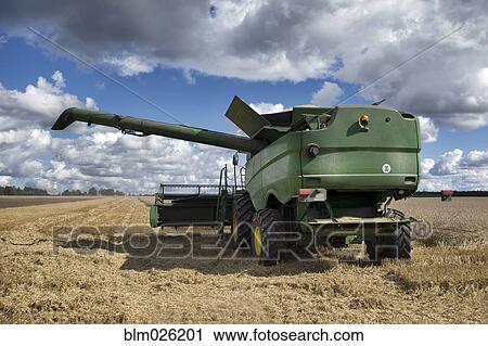 A large combine harvester machinery cutting the ripe arable crop View Large Photo Image Stock Image - A large combine harvester machinery cutting the ripe arable crop. Fotosearch