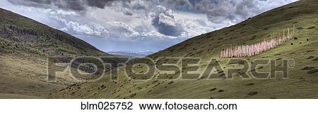 A mountain valley, with a large group of colored Buddhist prayer flags View Large Photo Image Stock Image - A mountain valley, with a large group of colored Buddhist prayer flags . Fotosearch