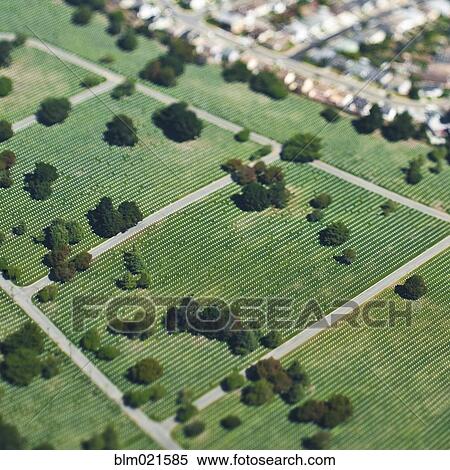 Stock Photography - Aerial View of City Park. Fotosearch