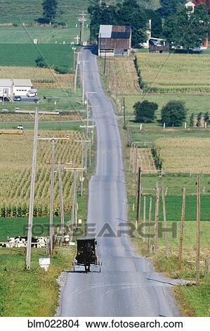 Picture - Amish Horse and Buggy on Country Road. Fotosearch