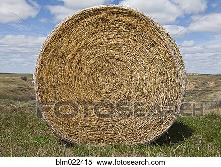 Bale of Hay in a Field View Large Photo Image Stock Photography - Bale of Hay in a Field. Fotosearch