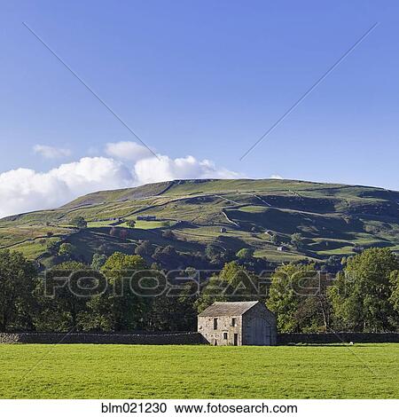Stock Image - Barn, Swaledale, Yorkshire Dales National Park, England. Fotosearch