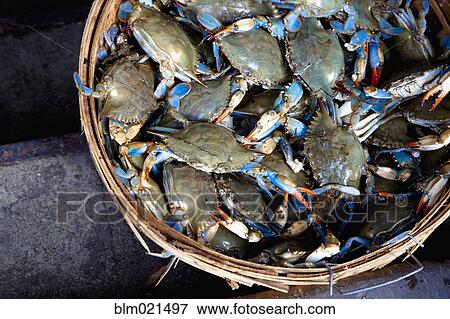 Basket of Crabs View Large Photo Image Stock Photo - Basket of Crabs. Fotosearch