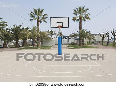 Basketball court with palm trees View Large Photo Image Stock Image - Basketball court with palm trees. Fotosearch