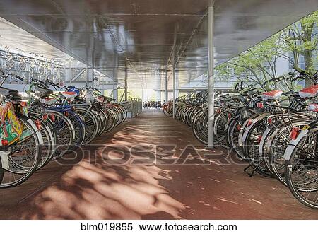 Bicycles Under a Shelter View Large Photo Image Stock Photography - Bicycles Under a Shelter. Fotosearch