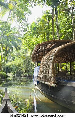 Stock Image - Boat in the Jungle. Fotosearch