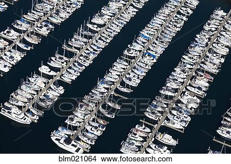 Picture - Boats in a Marina. Fotosearch