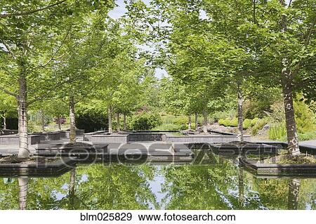 Bosque Garden Plaza reflecting pools at Oregon Gardens View Large Photo Image Stock Photo - Bosque Garden Plaza reflecting pools at Oregon Gardens. Fotosearch