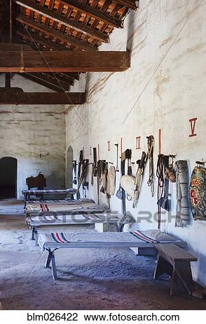 Stock Image - Bunkhouse or sleeping room with cots. Fotosearch