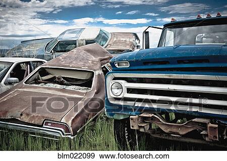 Car Scrapyard View Large Photo Image Stock Photo - Car Scrapyard. Fotosearch