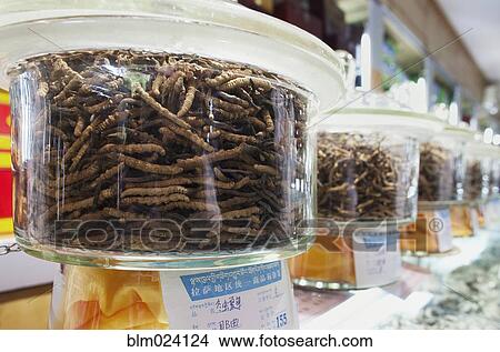 Caterpillars or worms in jars View Large Photo Image Picture - Caterpillars or worms in jars. Fotosearch