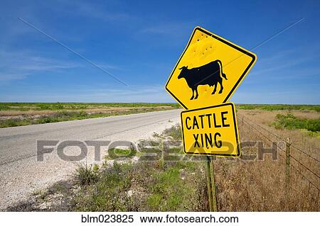 Cattle sign in rural New Mexico View Large Photo Image Stock Photography - Cattle sign in rural New Mexico. Fotosearch
