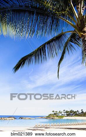 Chairs Lined Up on the Beach in Ko Olina Beach Park, Oahu, Hawaii View Large Photo Image Stock Photo - Chairs Lined Up on the Beach in Ko Olina Beach Park, Oahu, Hawaii. Fotosearch